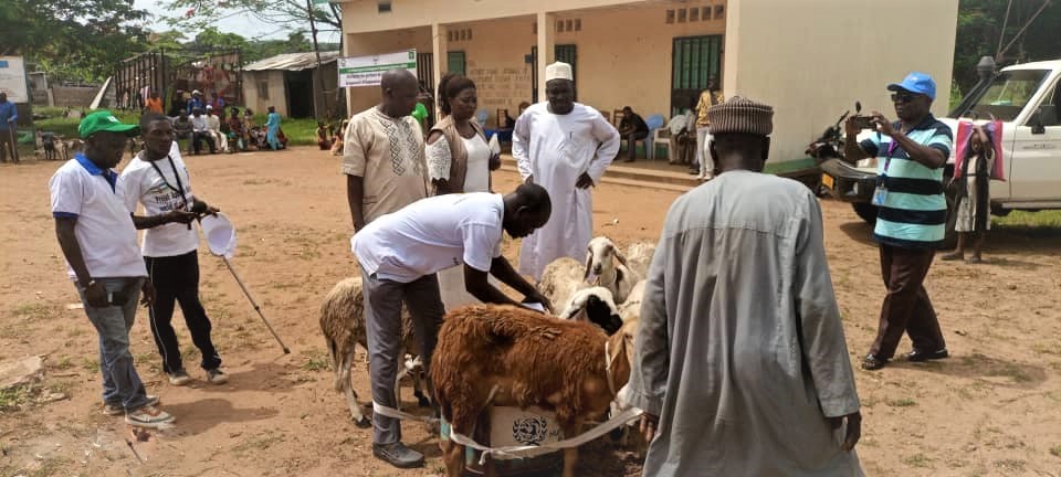 WHH_CAR's tweet photo. Distribution de caprins et ovins aux groupements et cooperatives des eleveurs des prefectures de la #Ouaka, #Vakaga et #BamimguiBangoran dans le Cadre du projet de relance Agricole et du Development de l'Agrobusiness en Centrafrique #PRADAC. #banquemondiale #WHH #RCA https://t.co/OYM2ppuU0E