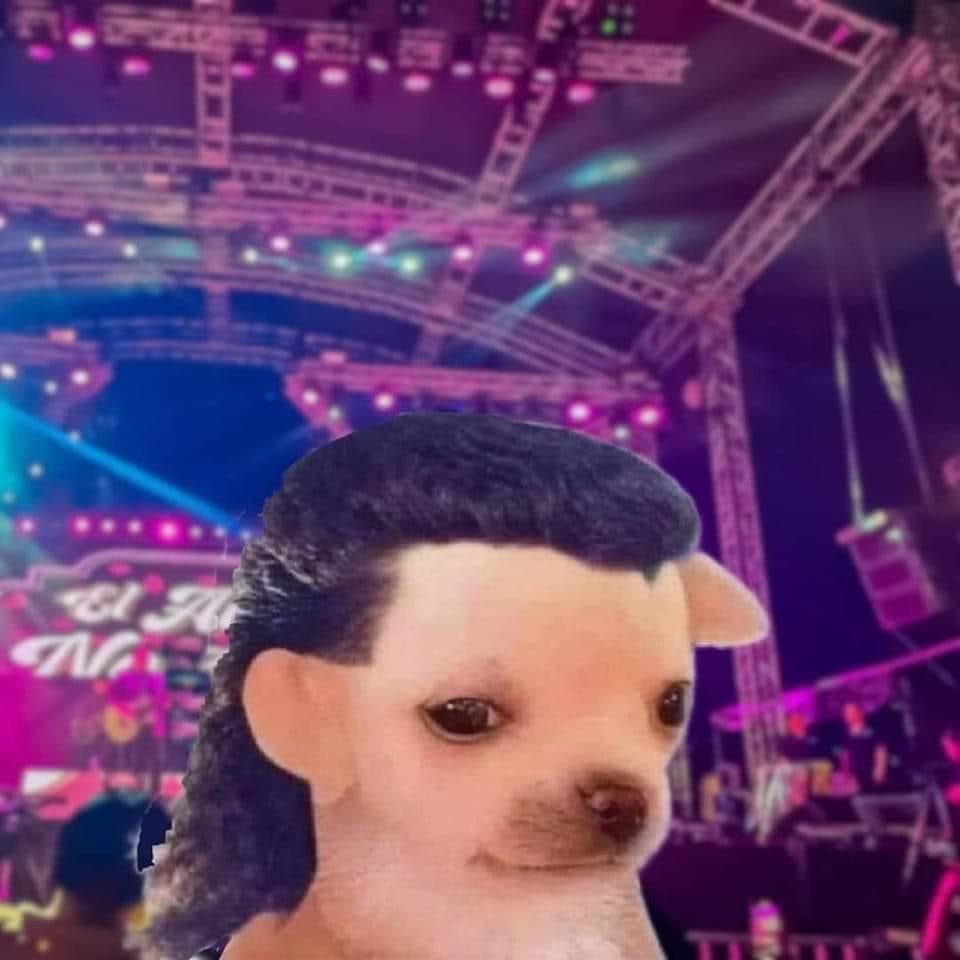 Onyllalejandro's tweet image. Yo en el zócalo viendo a los tigres del norte