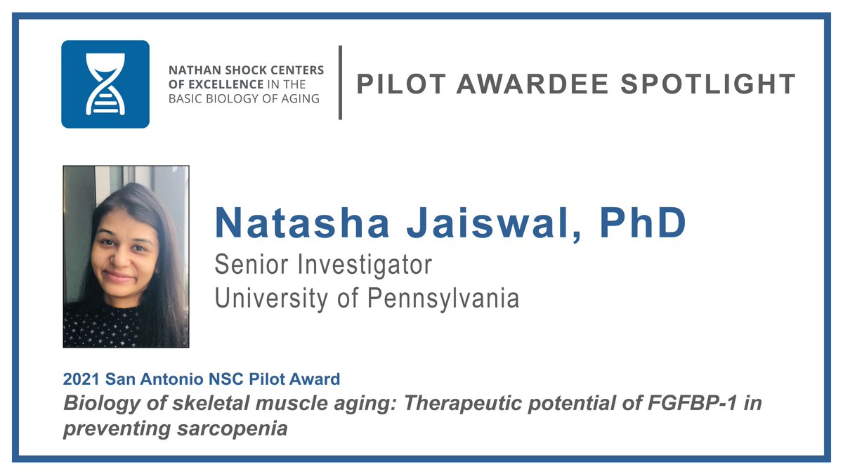 NathanShockCtrs's tweet photo. We are excited to highlight 2021 San Antonio NSC Pilot Awardee @NatashaJaiswa01. Read her NSC Pilot Awardee Spotlight here: https://t.co/TAaA7FYWYQ. #AgingResearch @SANathanShock https://t.co/0PO5i4oQvy