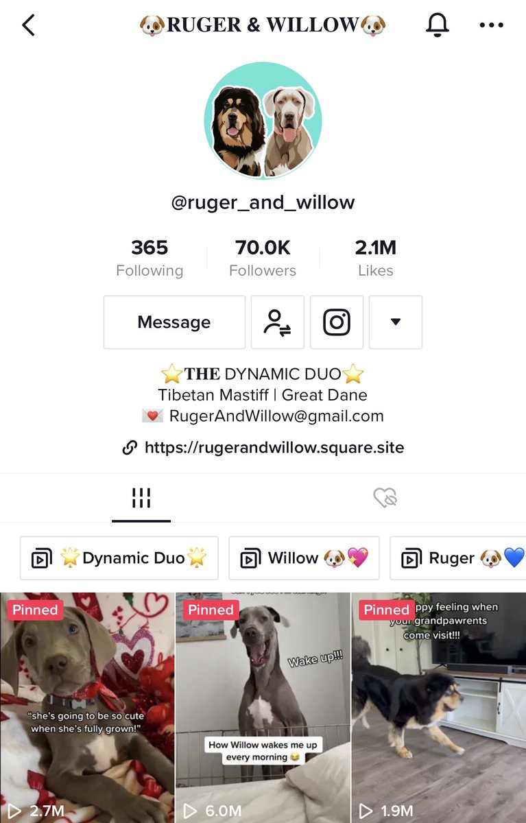daphne_ugc's tweet photo. My furbabies just hit 70K on TikTok! 🐶🥳 https://t.co/579H5JPIZN if there are any pet brands looking for UGC creators DM us! https://t.co/rUG7EqBv8t