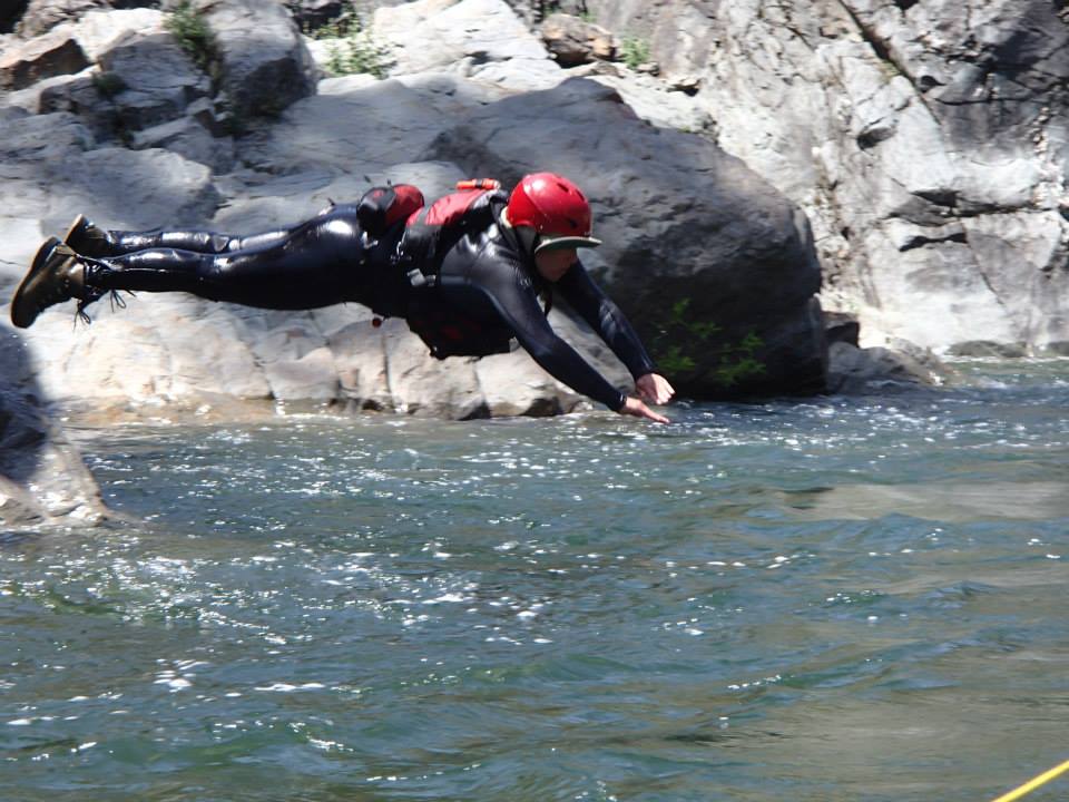 Coleman NFH on Twitter "Job opportunities (check the attached tweets