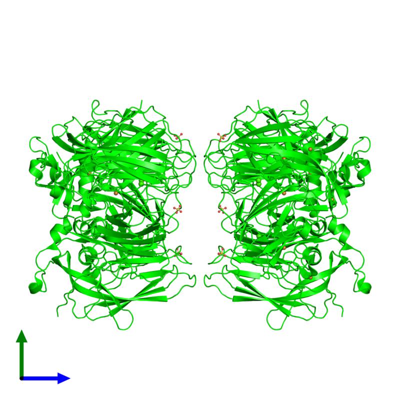 PDBimagebot's tweet photo. #HexamerOfTheWeek 'Hexameric structure of copper-containing nitrite reductase of a..' Find it at https://t.co/cF0odwuRQp https://t.co/EZWsVTFubJ