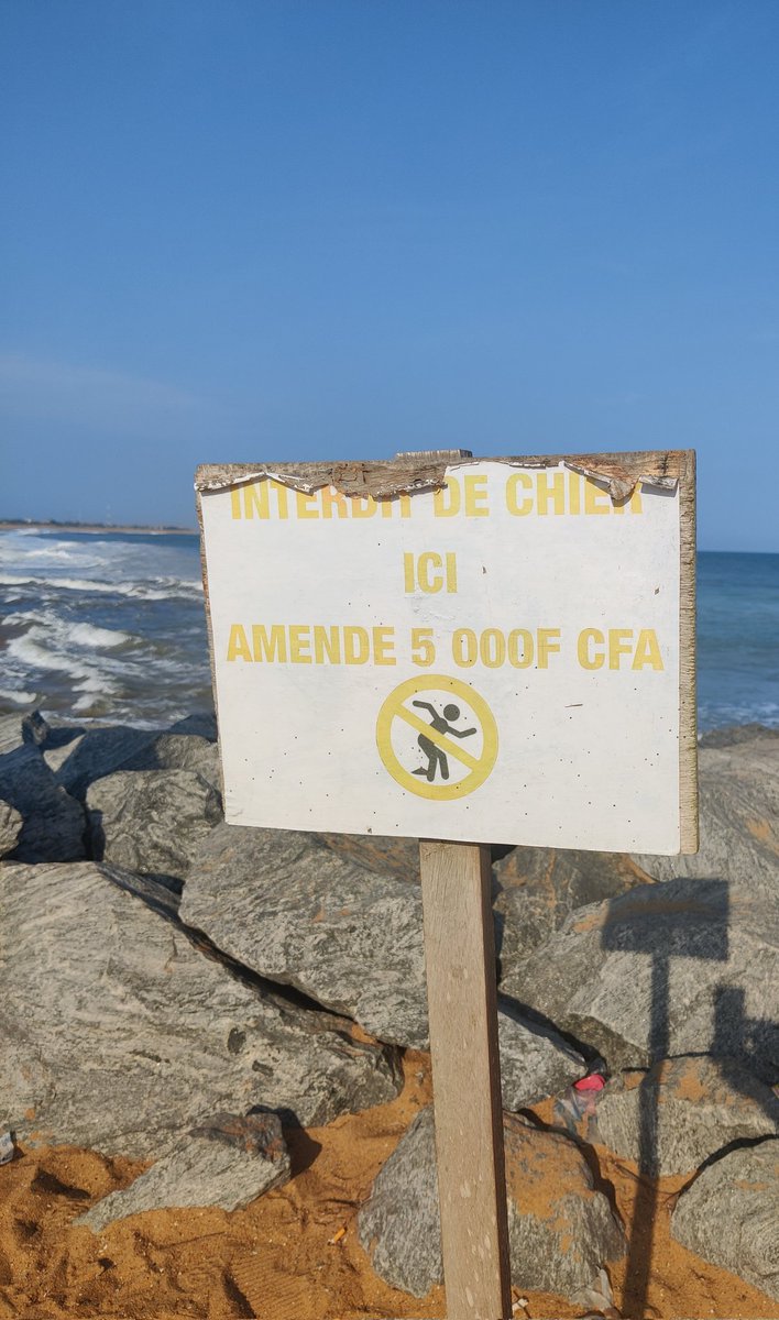 Blonde von tweet media