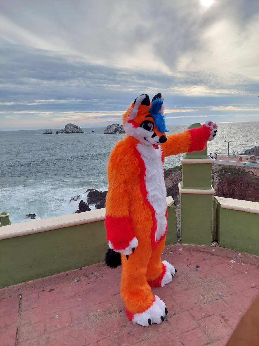 FerfoxPluff's tweet photo. Iraaaa allaa estan las nubes ๐ญ
#FursuitFriday #Ferfox #Fursuiting https://t.co/I6GFYwyRh6