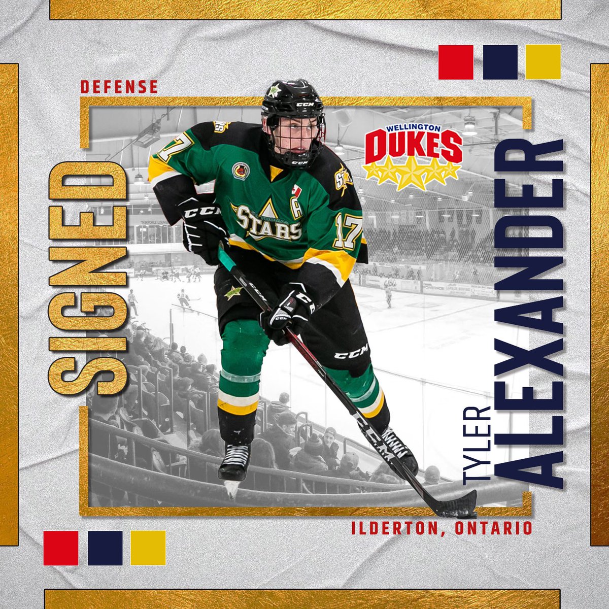 OJHLDukes's tweet photo. The Wellington Dukes are excited to announce the signing of forward Tyler Alexander. Tyler played last season with the St. Thomas Stars of the GOJHL. The 2002 born defenseman hails from Ilderton, Ont! 

Welcome to Welly Tyler! https://t.co/zDkGXdfL7g