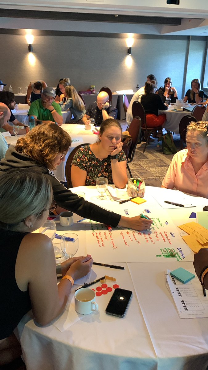 Pulling in all that we learned over the past three days: planning Tasks, Questions and Evidence (TQE) process using various fraction models.#dnamath @TLAMath #lceeqmath