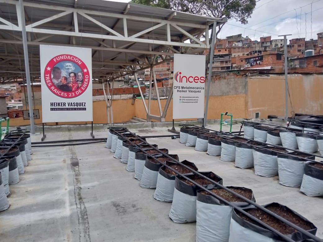 Incesocialista's tweet photo. Hoy #5Ago siembra del Techo Verde de la UENB 23 de Enero de 400o plantas de pimentón. 

Alianza INCES, MIPPAU, Fundacion Tres Raíces y la Comuna Hugo Chavez.

#FórmateConElInces #VenezuelaEsPaz 
@_LaAvanzadora @WuikelmanAngelP https://t.co/iIVS0FyjuY