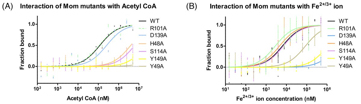 bioprotocolbyte's tweet photo. Quantify binding affinity of the #bacteriophage Mu DNA Modification Protein Mom Using Microscale Thermophoresis (MST)
https://t.co/SKNyVjlMSw

By @shweta3003 and colleagues 
Validated @NAR_Open https://t.co/GNEwoUGFA3