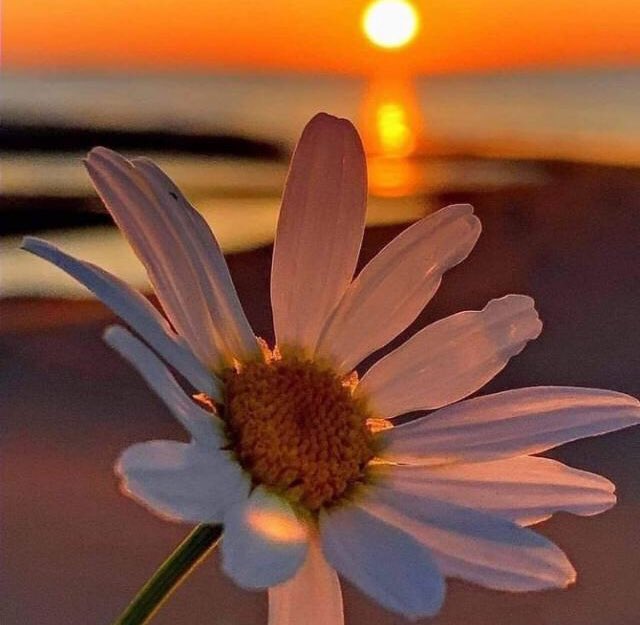 Bryan Adams - Everything I Do (I Do It For You) - Classic Version (Lyric... youtu.be/H7Xu5g_2icQ <a href="/YouTube/">YouTube</a> 🤞🍀☕️