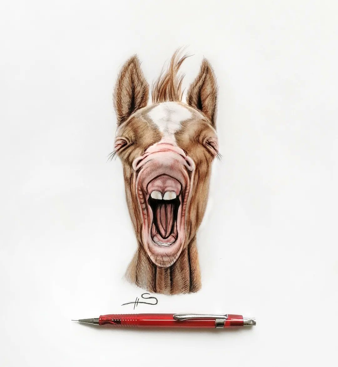 Baby Hü 😉
#berlin #artist #art #pencilartist #Pencildrawing #pencilsketch #adorable #cute #sketch #Sketching #sketchbook #painting #horse #animals #portraitart #portrait #chestnut #hazelnut #pferd