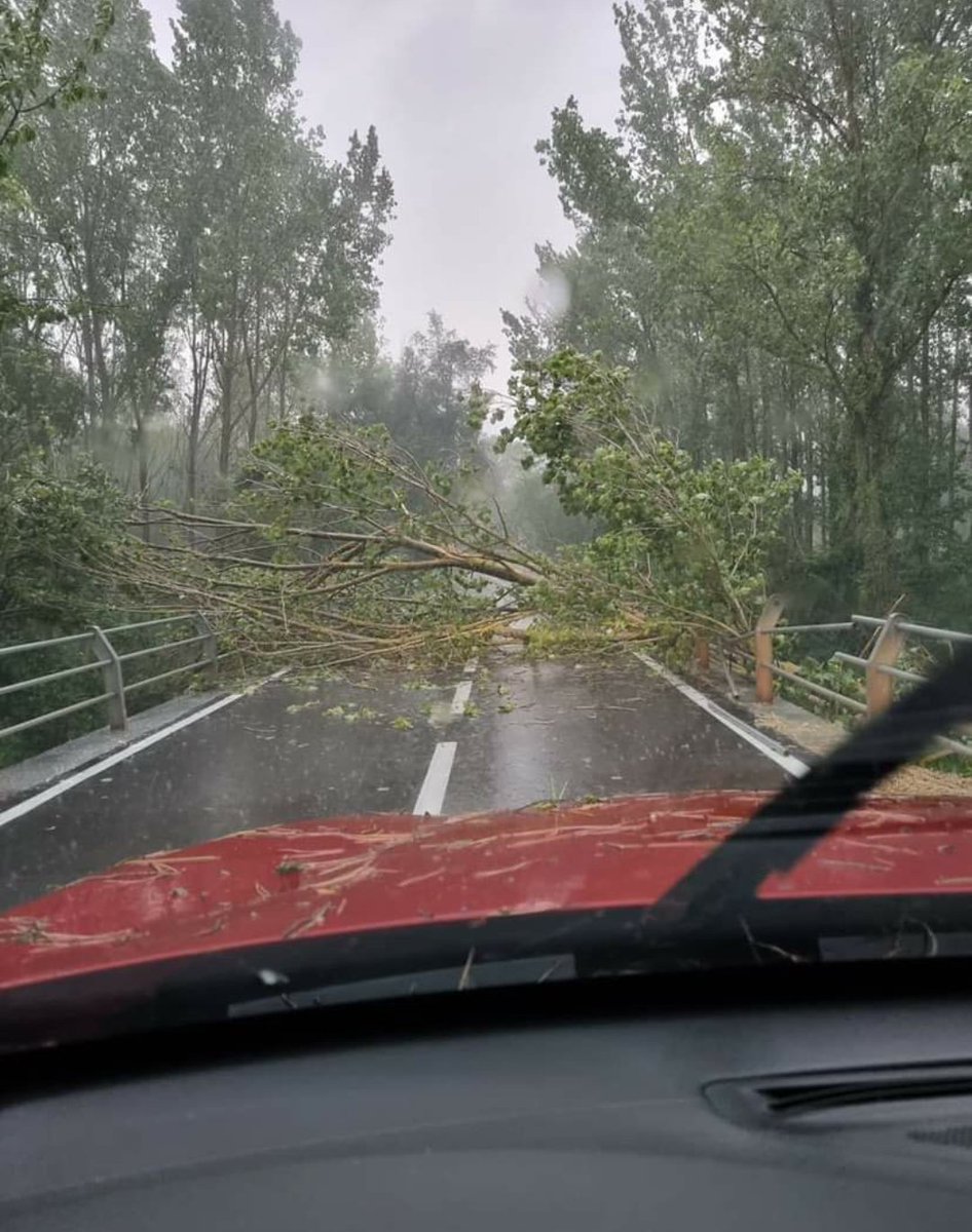 meteollac's tweet photo. La Mercè Fontelles ens fa arribar aquesta fotografia de la carretera BP-2121 de Santa Maria de Miralles a #LaLlacuna.
Molta precaució a l'hora de circular! https://t.co/8bra1ALjtj