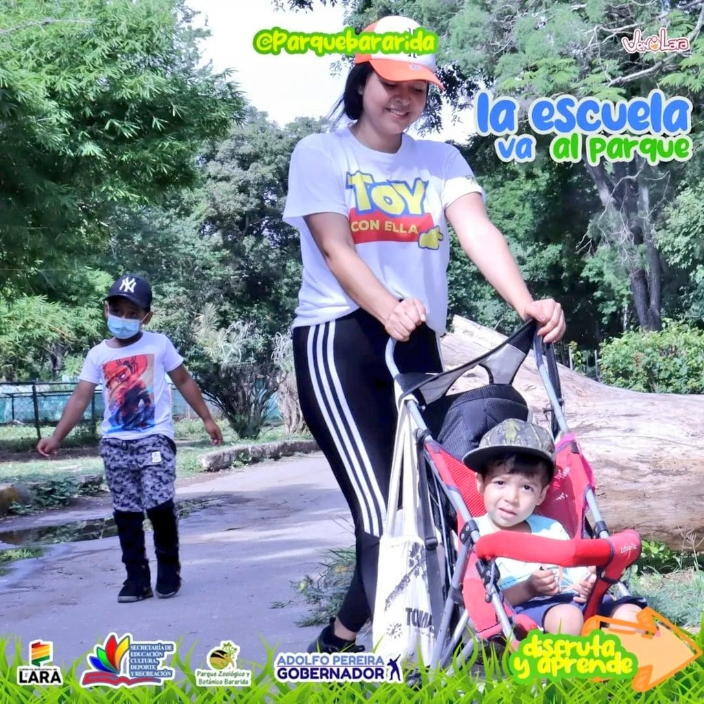 Educacionlara's tweet photo. #5Ago Con "La Escuela va al Parque", el Parque Zoológico y Botánico Bararida ha recibido más de 1700 niños y niñas de diferentes instituciones educativas públicas de nuestro estado #Lara para pasar un tiempo de diversión y conocimiento.
#LaraPotenciaRecreativa
#VenezuelaEsPaz https://t.co/IXQ36QZbUx