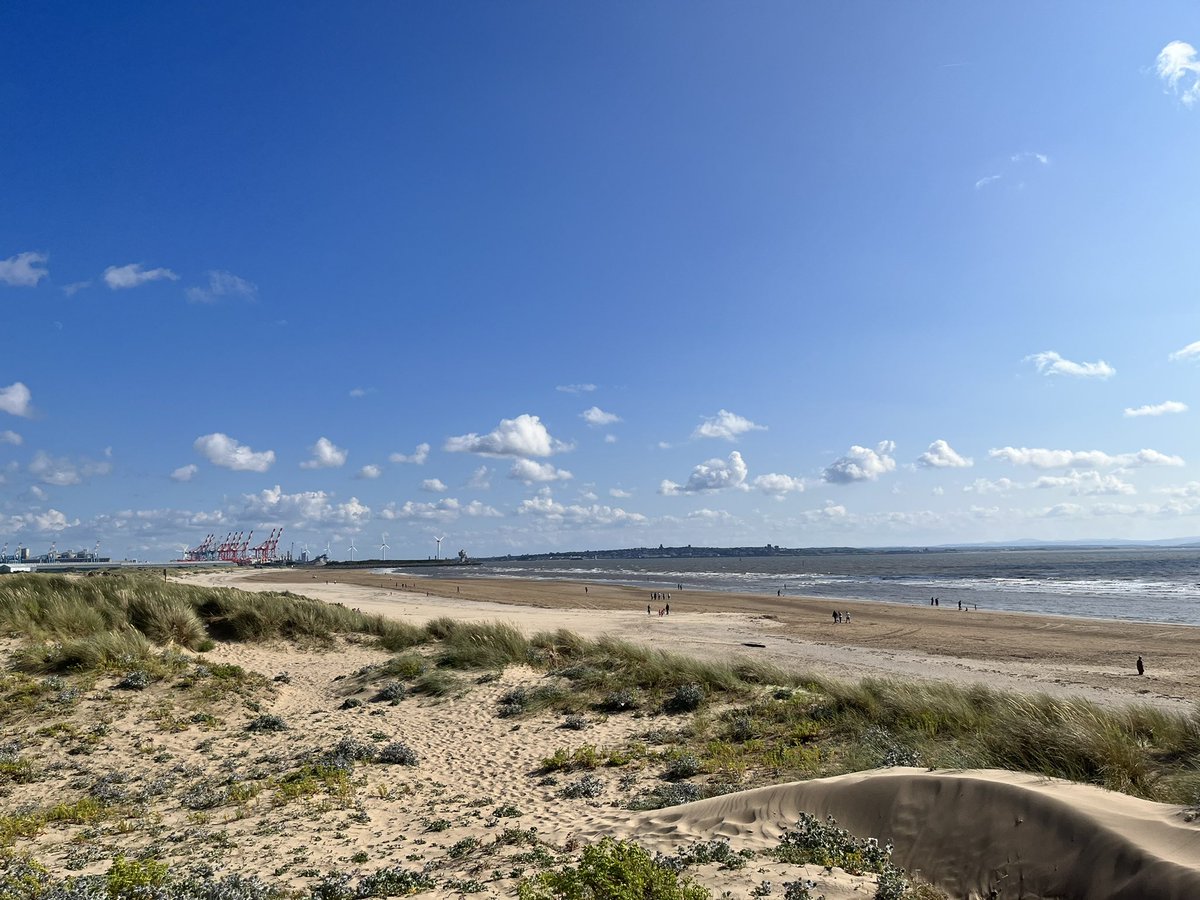 NickRaddon's tweet image. Beach