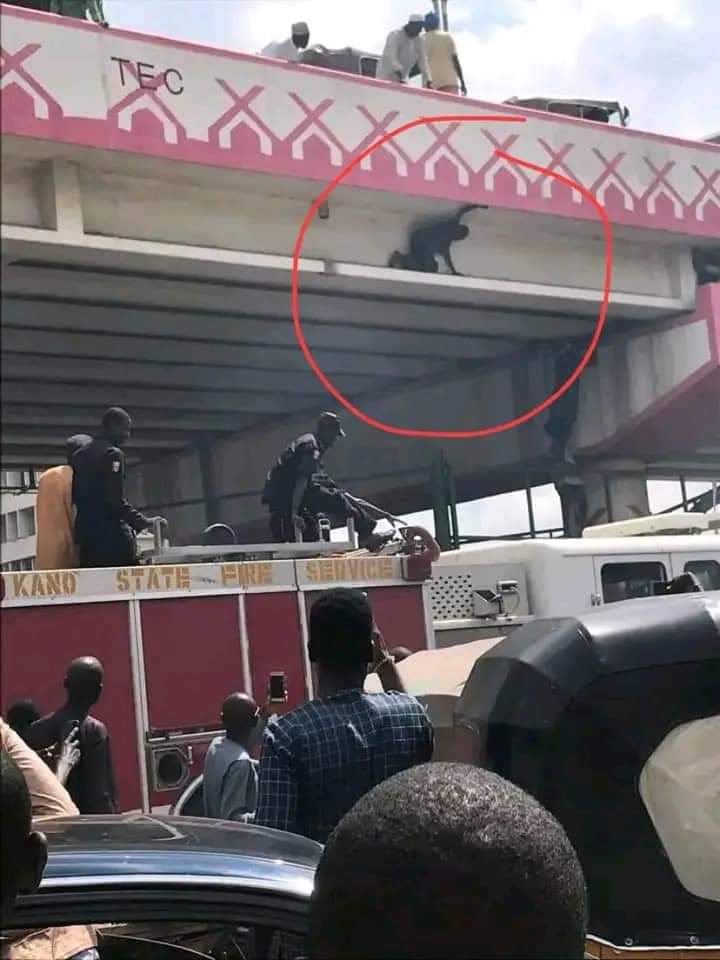 Aliyussufiy's tweet photo. A Kano man has reportedly climbed to the cliff of a flyover and promised not to come down until Buhari is impeached. 😂 https://t.co/WrU2SqOjPp
