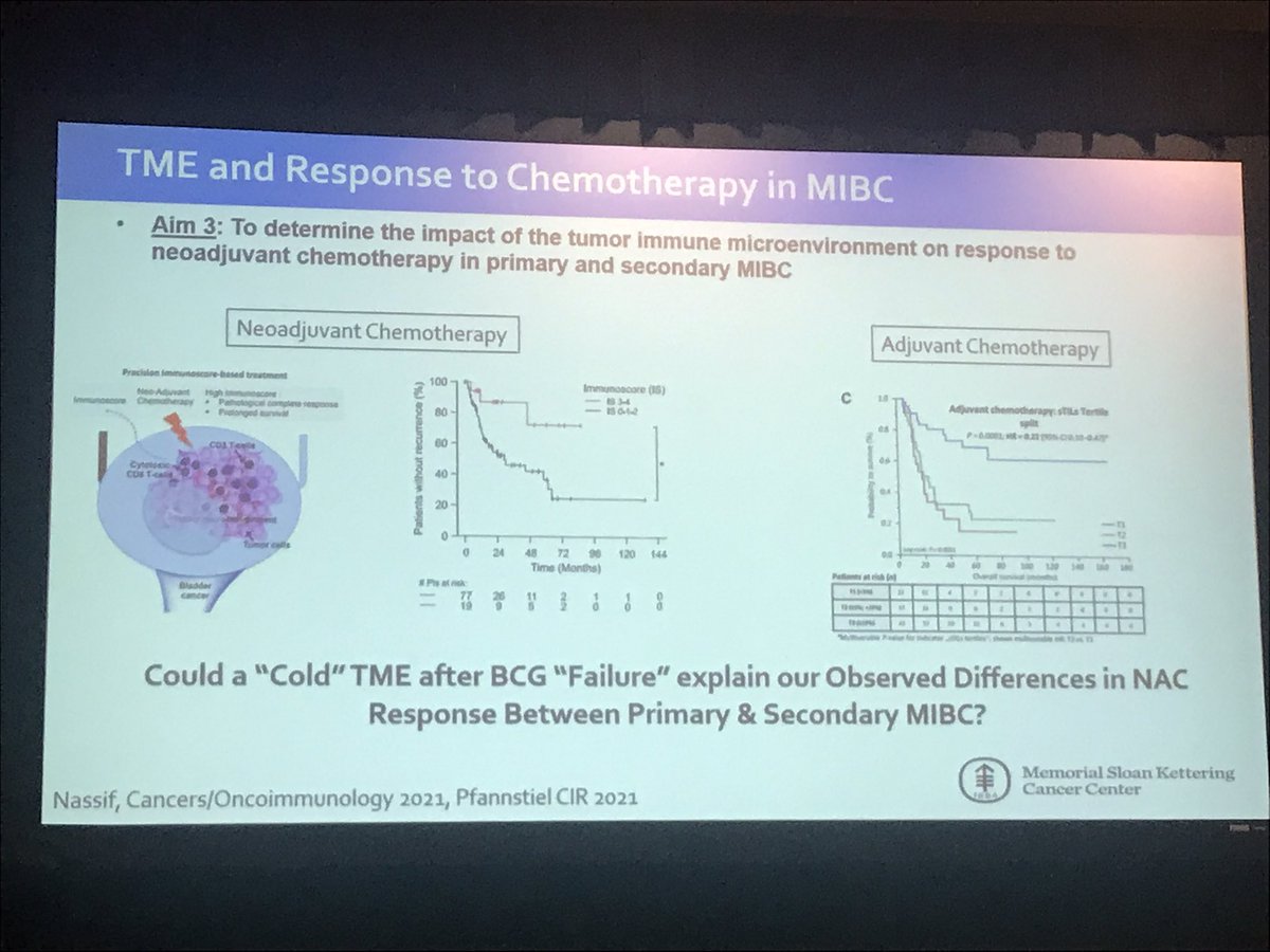 Wonderful talk by @eugene_pietzak @MSKCC_OncoNotes #BCANTT22 covering a spectrum of topics on putative biomarkers across NMIBC -> MIBC. Excited to see Gopa Iyer @DrRosenbergMSK Alliance Neoadjuvant trial in MIBC @BladderCancerUS @mouwlab @FaltasLab @ERPlimackMD @urotoday