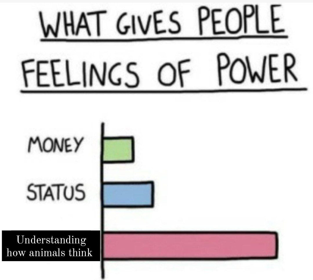 Valeria Mazza tweet media