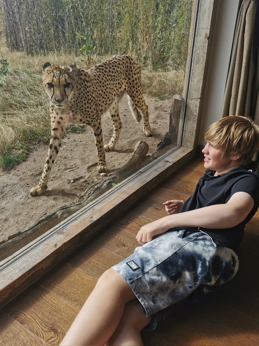 walker_beckym's tweet photo. Great time with Alex @WestMidSafari. The cheetahs were awesome! https://t.co/FJb7tJNhQP