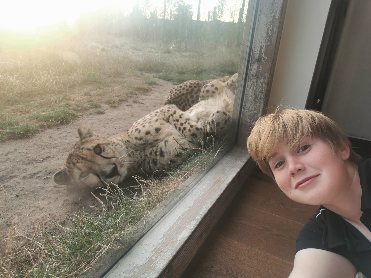 walker_beckym's tweet photo. Great time with Alex @WestMidSafari. The cheetahs were awesome! https://t.co/FJb7tJNhQP