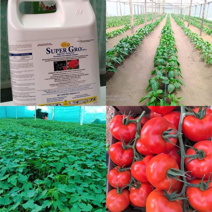 We do not need magic to transform the world. We carry all the power we need inside ourselves already.