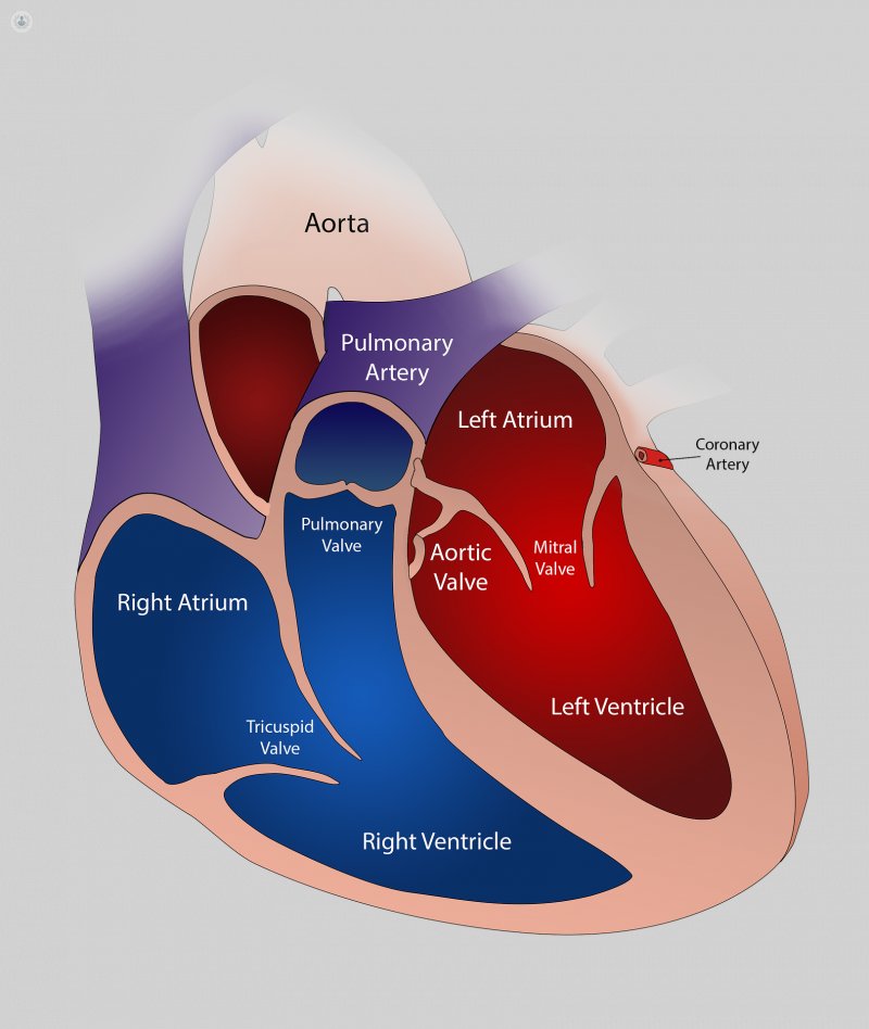 GazafJ's tweet photo. Which infection is a risk factor for regurgitation in all heart valves ?
#dr_jibril
#we_are_learning https://t.co/IiOB0aTSNB