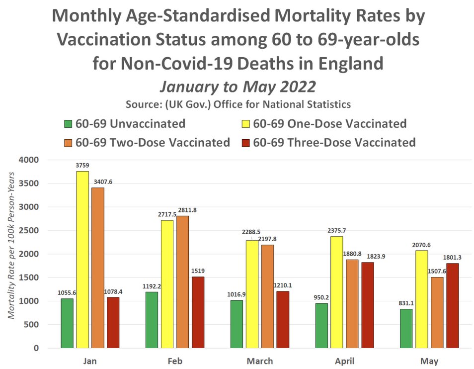 BLNewsMedia's tweet image. Unvaccinated show lowest mortality rates per 100,000 in every single age group in England.

Article: expose-news.com/2022/08/05/5-m…

UK govt report "Deaths by Vaccination Status, England, 1 January 2021 to 31 May 2022"  ons.gov.uk/file?uri=/peop…
