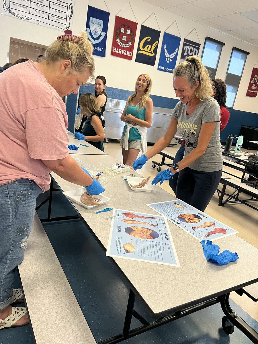 Our @ValVerdeUSD 4th grade teams are diving deep into their Carolina Science Training session! We have the best teachers! #handsonlearning #kidsfirst  #teamvvusd <a href="/dhenderson_sci/">Doug Henderson</a>