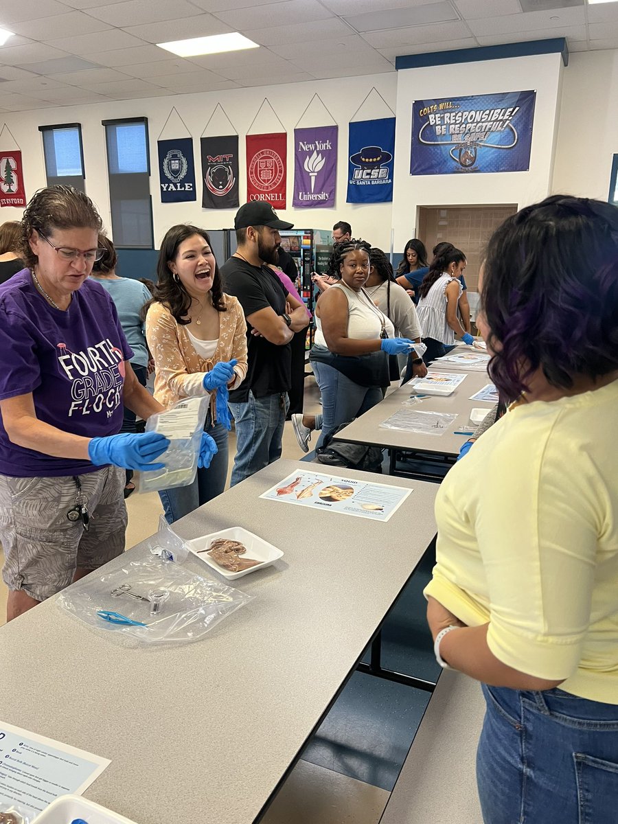 TripleCrownEl's tweet photo. Our @ValVerdeUSD 4th grade teams are diving deep into their Carolina Science Training session! We have the best teachers! #handsonlearning #kidsfirst  #teamvvusd @dhenderson_sci https://t.co/pIe0yTS3Gg