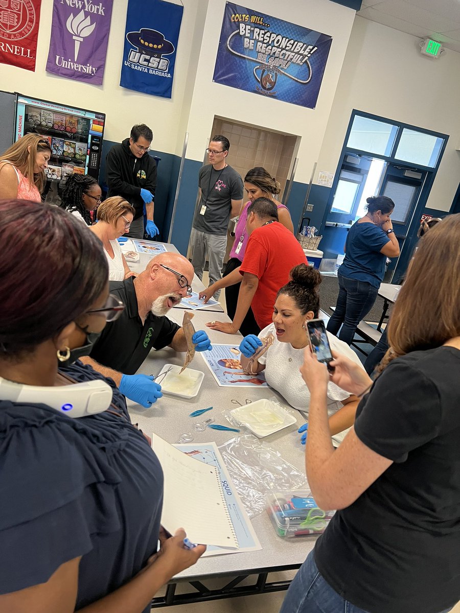 TripleCrownEl's tweet photo. Our @ValVerdeUSD 4th grade teams are diving deep into their Carolina Science Training session! We have the best teachers! #handsonlearning #kidsfirst  #teamvvusd @dhenderson_sci https://t.co/pIe0yTS3Gg