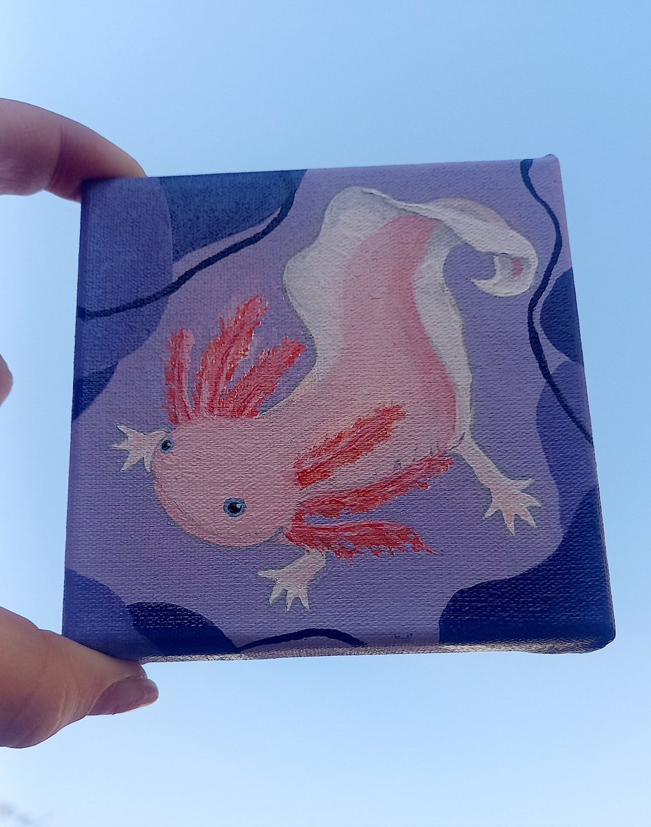 desenhos_da_ca's tweet photo. Meu novo bebezinhoo #art #axolotl #desenhosdaca #pintura #axolote #desenho https://t.co/zb9evFEBcS