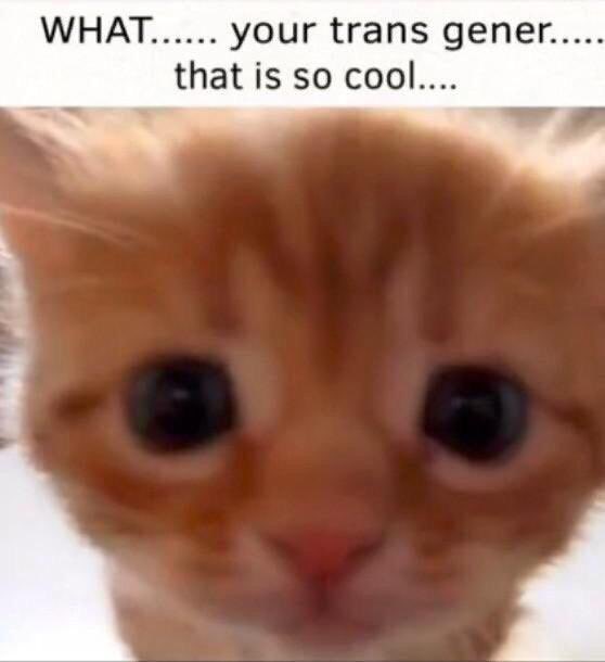 empty account (@emptyempty1000) on Twitter photo 