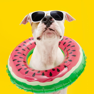 Coast Weekend tweet media