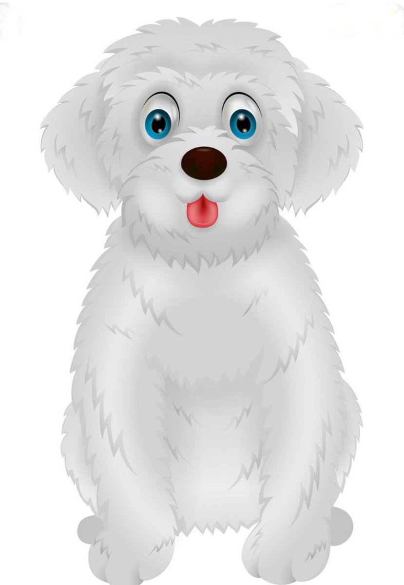 These Are all of the Participants Of Uzbek Fest