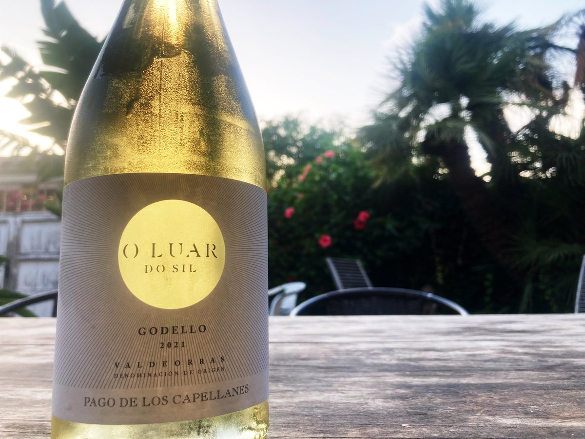 edwin winkels tweet media