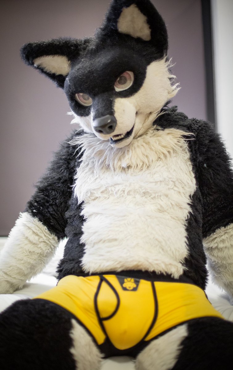 FuseWolf's tweet photo. I may have missed #NationalUnderwearDay but here's my contribution. #nosock #nostuffing https://t.co/N7s0IMwSyy