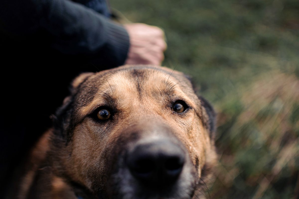 керел 🕳️ tweet media