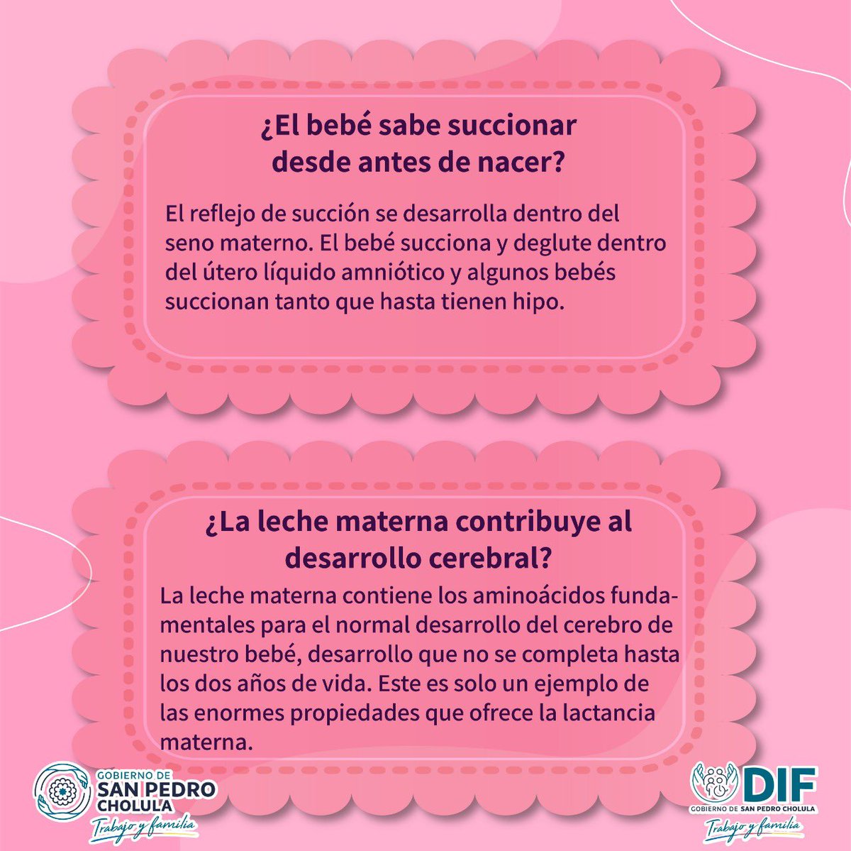 CholulaDIF's tweet photo. 🍼#Entérate | La leche materna es el alimento más nutritivo y seguro para tu bebé, sigue estos consejos para continuar con la #LactanciaMaterna 🤱🏽, estamos seguros que te pueden interesar. https://t.co/6Yy4iIezoW