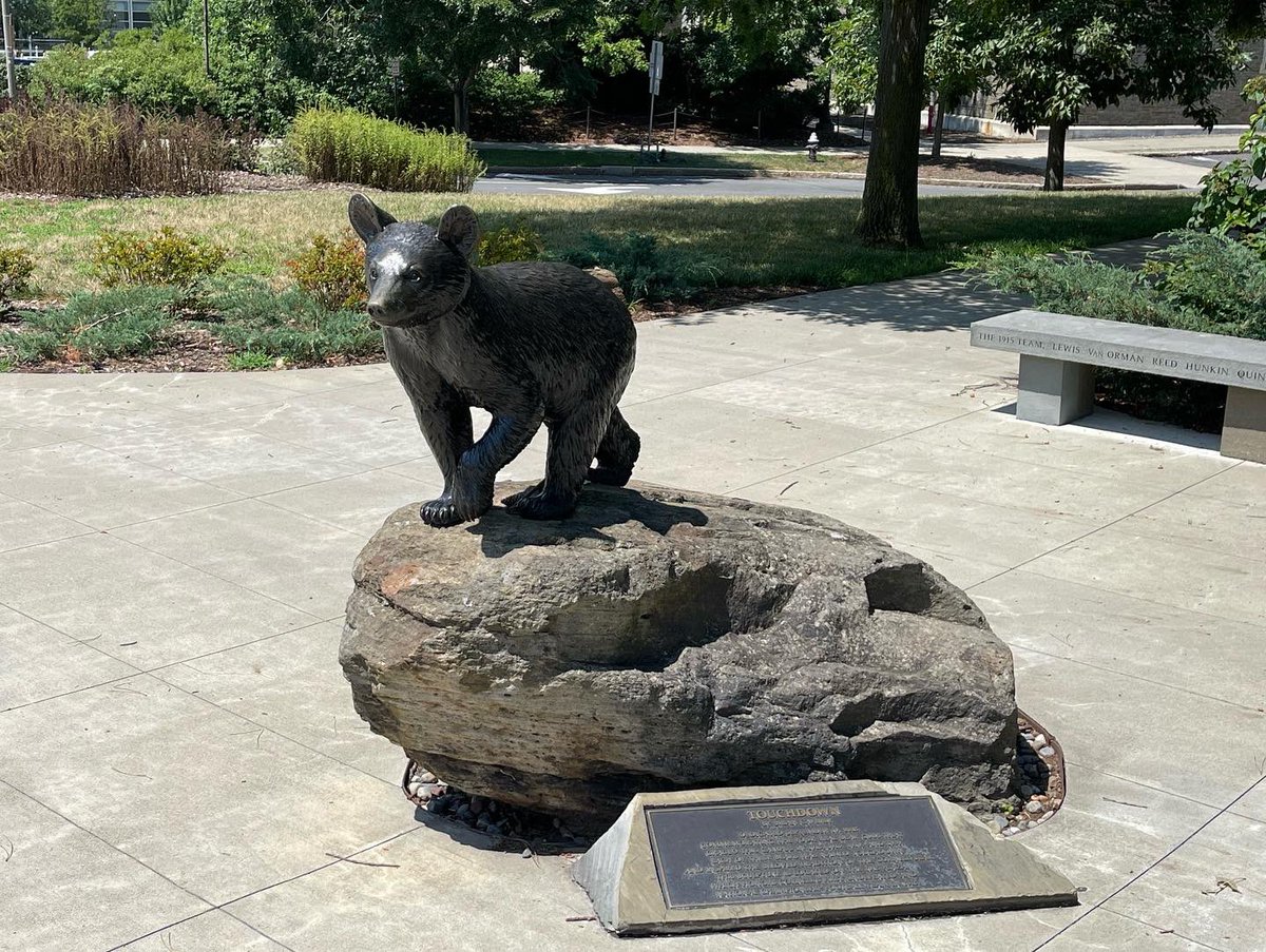 Marshall Haim tweet media