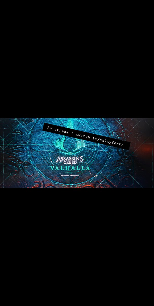 SaltyFoxFR tweet media