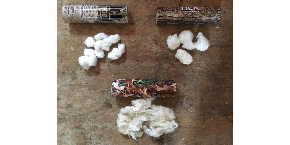 ESAEcosphere's tweet image. #TickTubes only work to control #BlackLeggedTicks if mice use the permethrin-treated cotton - and new research shows this depends strongly on the time of year

doi.org/10.1002/ecs2.4…

#OpenAccess @KylieontheTrail @bearly_famous @Mice_Mice_Baby @MachtingerLab @PSU_Entomology