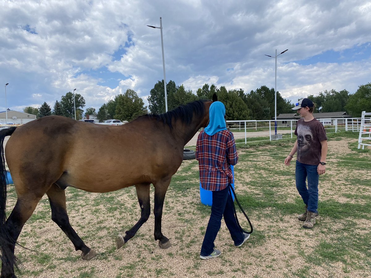 TheNewAP1's tweet photo. Trojan JumpStart students had the opportunity to learn leadership skills and hone in on social emotional awareness at Wild Song Ranch the last 2 days! They even got some math practice in up in the barn. #StVrainStorm #Excellencebydesign @LHSTrojanWay @SvvsdSchuh @LongmontHS https://t.co/GwwbbvBWNw