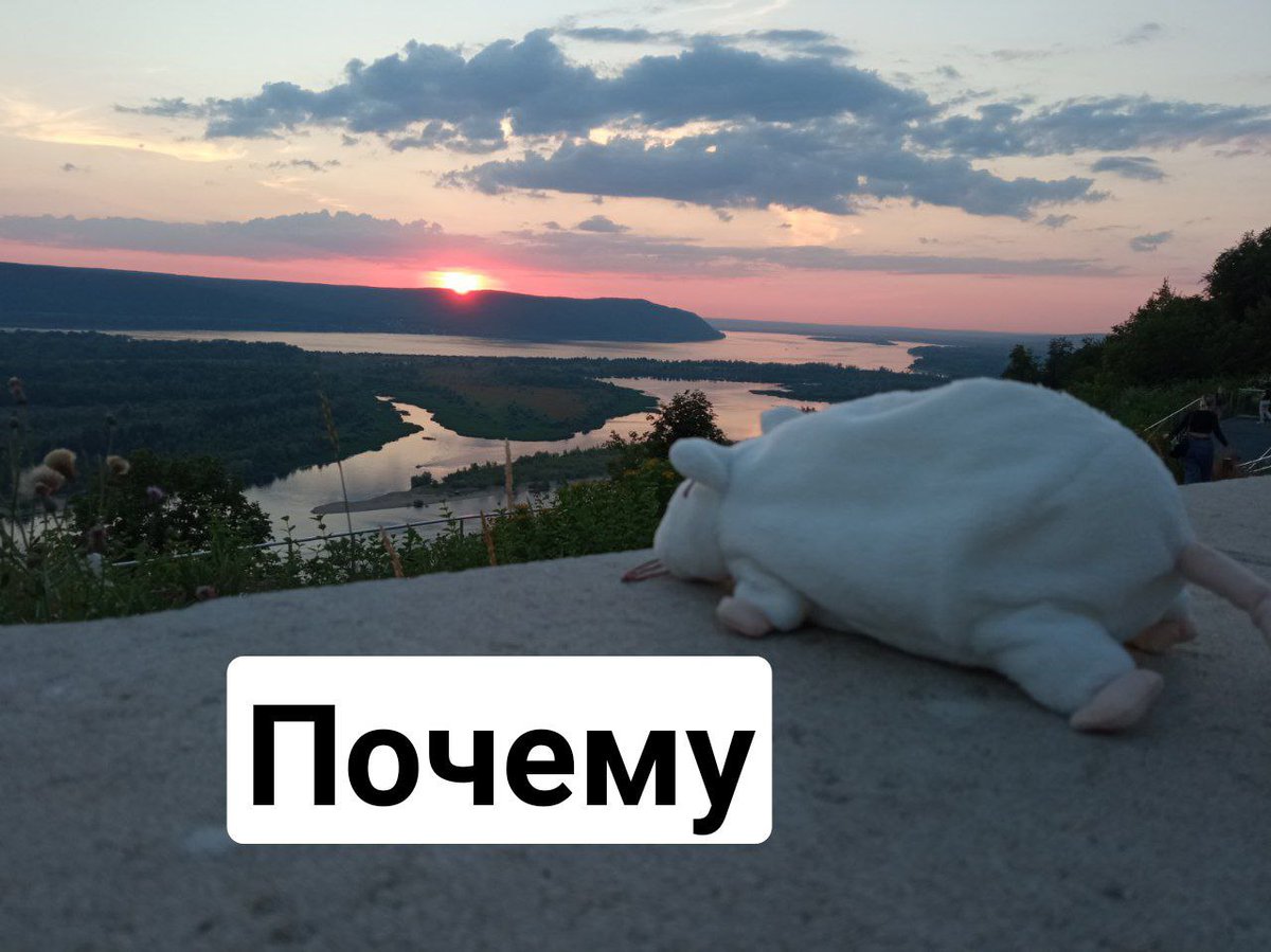Kooryu_Photo's tweet photo. /твит боли/

Делюсь болью: возможно бОльшая часть фото из поездки утеряна (но это пока не точно).

/яконечнонадеюсь,чтовсëжесдкартаввжи��аноэтооченьсомнительнаяинфа/

/фото by @slavyan394/ https://t.co/ysZN0SePWb