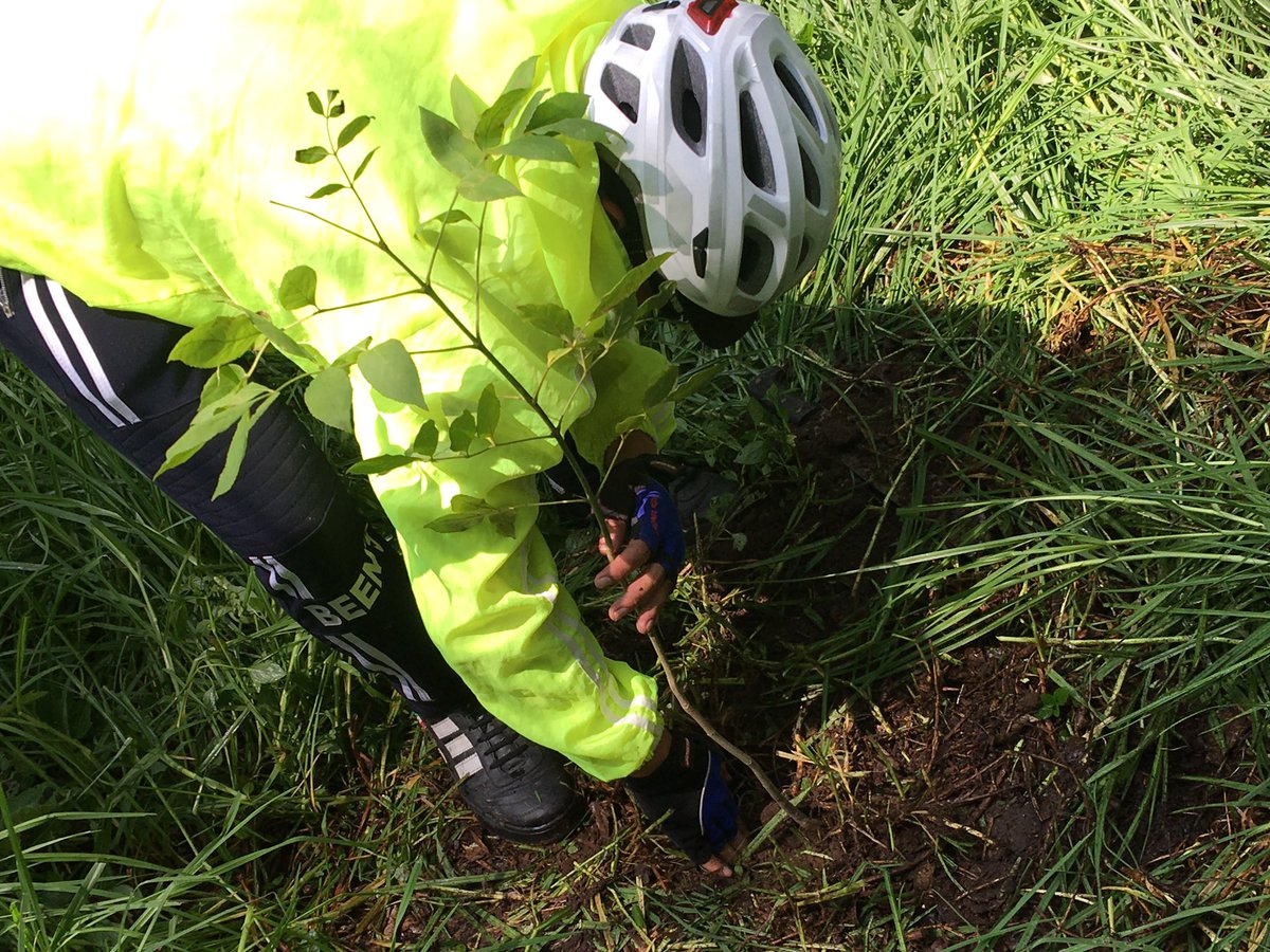 #RODADAREFORESTACIÓN + JORNADA CULTURAL ¡Preparen sus palas! 

📅DOM 7 agosto
📍Torre Caballito
⏰Cita: 7:30 am
⏰Salida 8:00 am

Bicicleta en buen estado mecánico 
CAMARA DE REFACCIÓN 
Ropa comoda y adecuada 
Hidratación 
Dinero para gastos personales 
#defensabosquetopilejo
