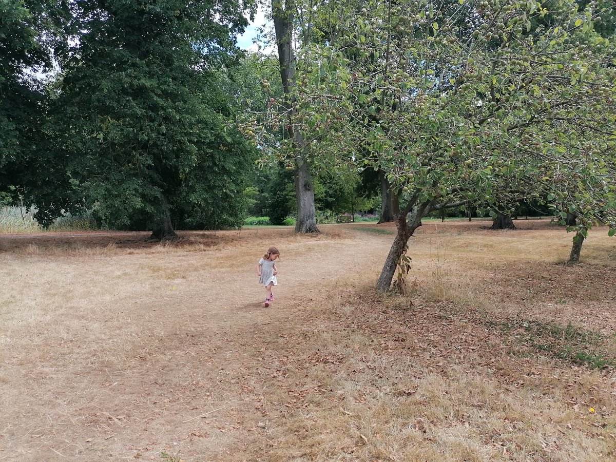 EmilyA_Cottrell's tweet photo. I saw these paintings back when I worked for NT circa 2013/16 and they made a huge impact on me. It seemed impossible to imagine. Now it feels like we're almost there.

Here are some photos from Coughton Court today.

A dried out pond. Tinder dry grass.

#ClimateEmergency https://t.co/2DQjiOfYgd