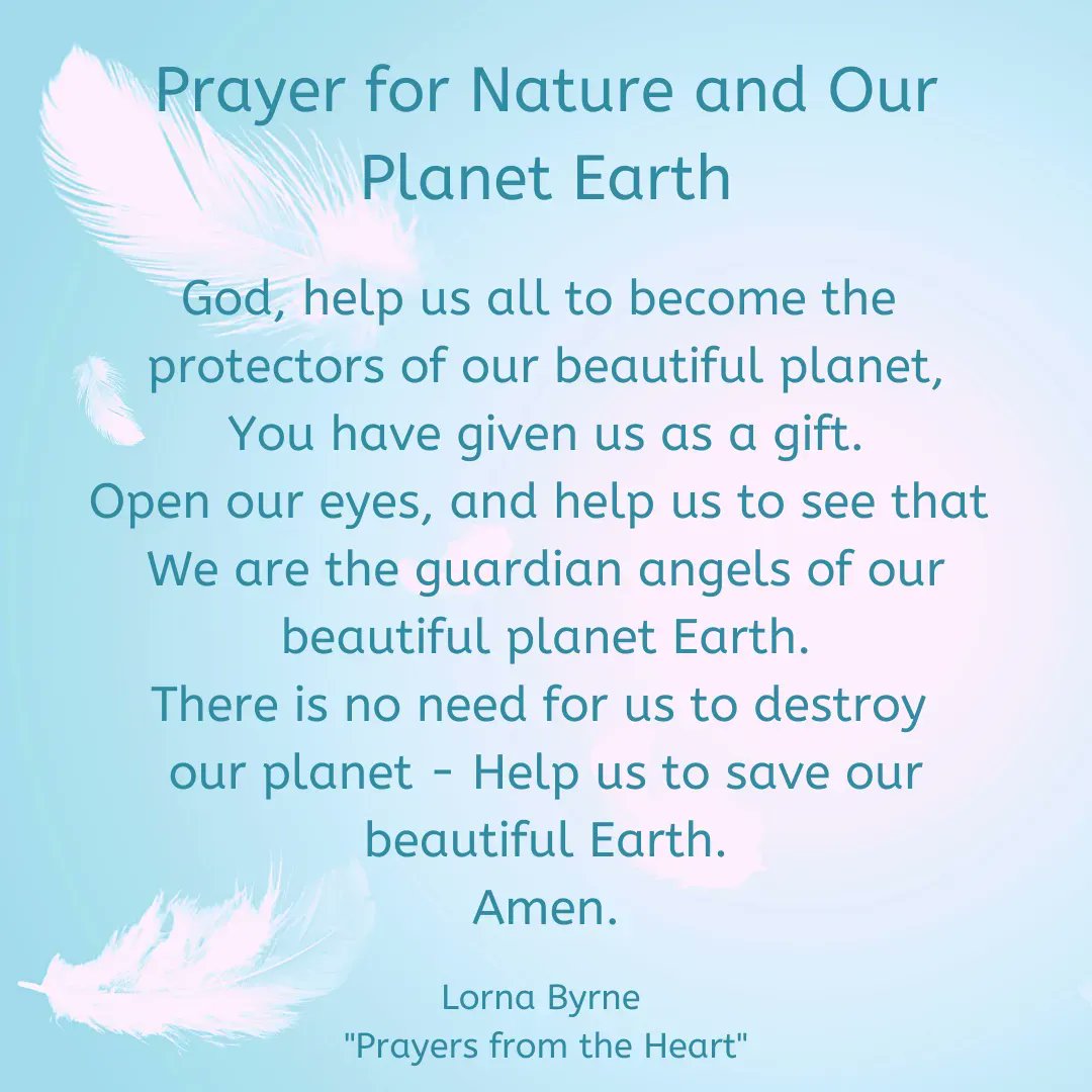 LornaByrne's tweet photo. We have to pray for our leaders to make the right decisions to protect nature and that they will not be overly influenced by the material cost. The people of the world must put pressure on them to make the right decisions. We cannot live without nature.

Blessings Lorna

#prayer https://t.co/Z7qjsjVe6P