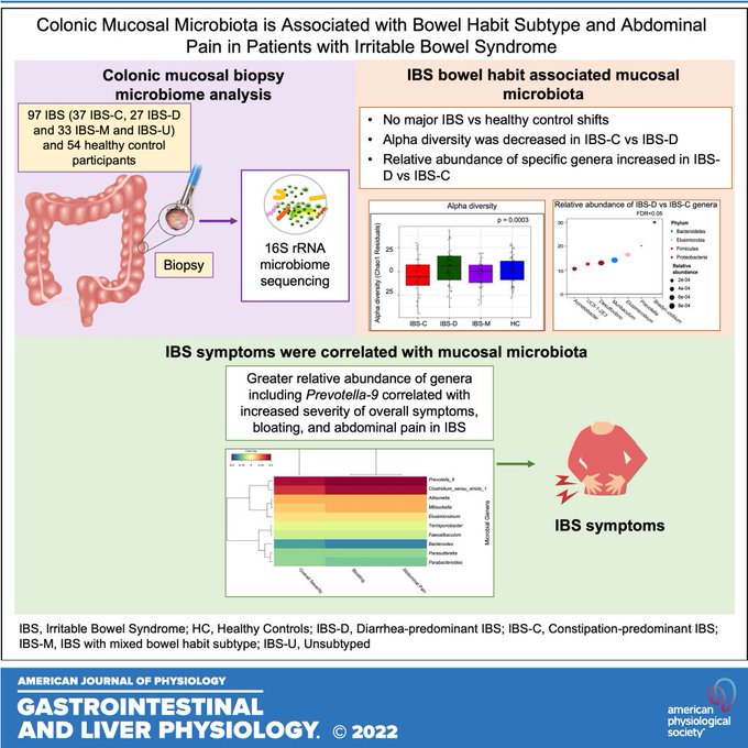 Lin Chang (@linchangmd) on Twitter photo Happy to share largest to date mucosal microbiome study in #IBS 🔖<a href="/ajpgi/">AJP-Gastrointestinal and Liver Physiology</a>
🔑IBS-C 🆚IBS-D differences
🔑P copri correlates w/abdominal pain
🔑Metagenomic profiling: functional differences in IBS
🖊️ Special thx to <a href="/SwapnaJoshi_PhD/">Swapna Mahurkar-Joshi, PhD</a> C Choo <a href="/TienDongMD/">Tien Dong MD, PhD</a> et al
👉bit.ly/3zz3G2H Happy to share largest to date mucosal microbiome study in #IBS 🔖<a href="/ajpgi/">AJP-Gastrointestinal and Liver Physiology</a>
🔑IBS-C 🆚IBS-D differences
🔑P copri correlates w/abdominal pain
🔑Metagenomic profiling: functional differences in IBS
🖊️ Special thx to <a href="/SwapnaJoshi_PhD/">Swapna Mahurkar-Joshi, PhD</a> C Choo <a href="/TienDongMD/">Tien Dong MD, PhD</a> et al
👉bit.ly/3zz3G2H