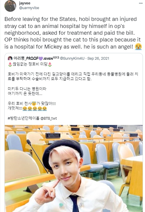 uarmyvibe's tweet photo. OMG.. someone from the animal hospital recently left this comment under the clip of IU complimenting hobi. "Let me tell u how kind he is…he rescued a stray cat and brought it to our hospital for treatmentl. The man who got such a busy schedule came to our place three times ^^+ https://t.co/UFgM5SjqLn