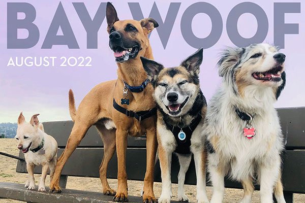 BayWoof's tweet photo. In the August issue, Bay Woof celebrates the dog days of summer.
cover photo by @DoggyLamaPet
https://t.co/2Uj9qXue7J
#BayWoof, #August2022, #monthlydognews #doglove, #dogtraining, #dogrescue, #caninehealth, #communitydognews, #dogdaysofaugust, #summerdogs https://t.co/y4w5Uh8vtj