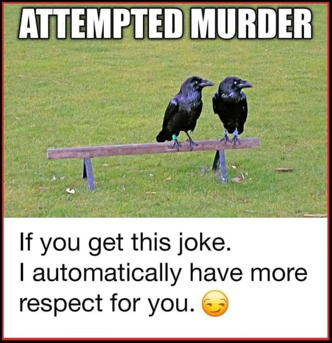 ToriatheistTori's tweet image. 