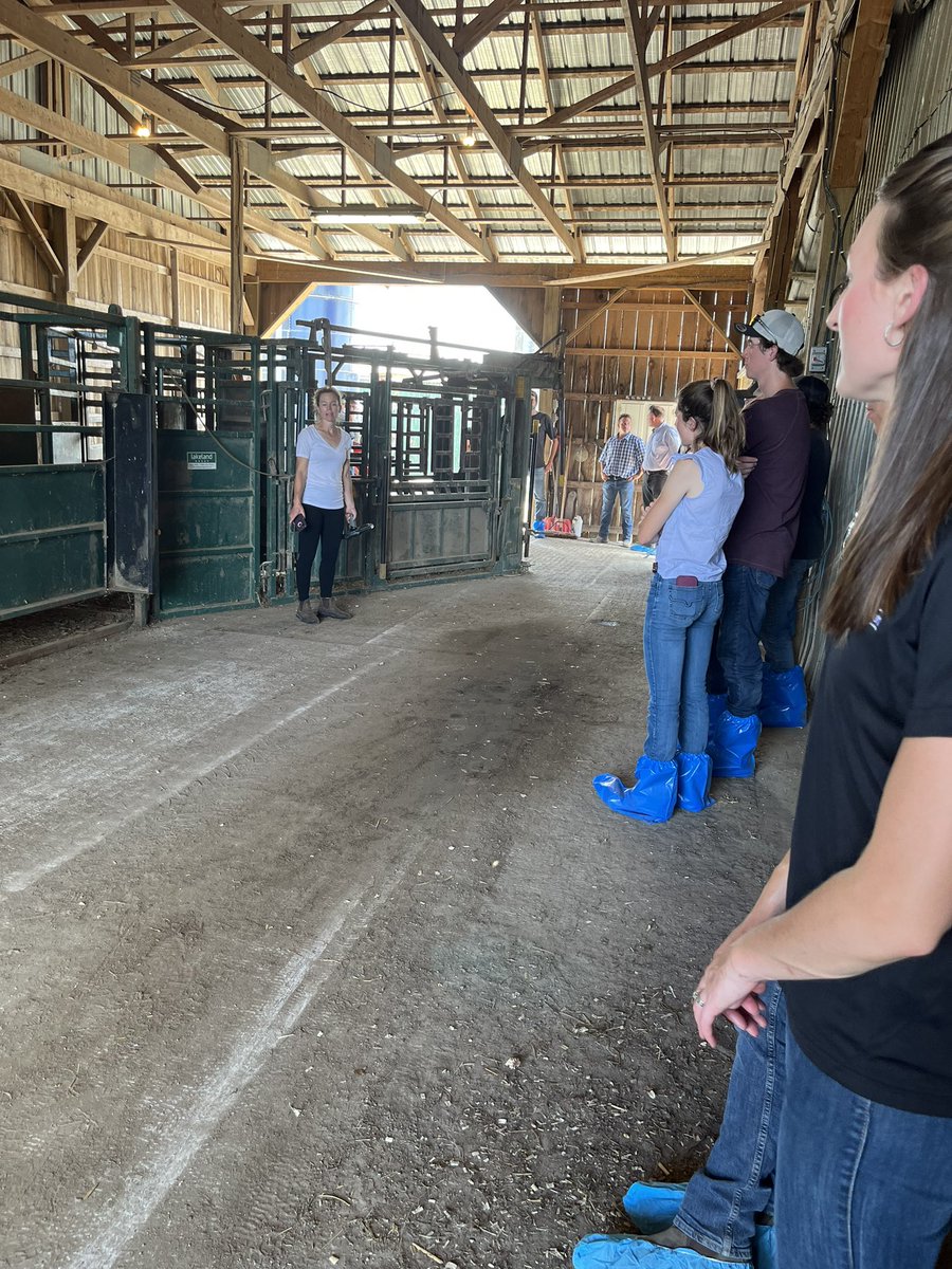 BeefFarmersON's tweet photo. Checking out the handling facilities at @EnrightCattle with the #OBYA Summer Tour. #ontbeef #youngproducer https://t.co/BIYIOqM7Ng