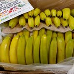 @frannydewit - Vandaag zijn we weer verrast in Reyerheem met een gezonde traktatie. 
Bakker Barendrecht heeft weer dozen vol overheerlijke bananen laten bezorgen.
Deze zijn vandaag door Pameijer uitgedeeld aan bewoners en medewerkers.
Namens Reyerheem weer heel erg bedankt.
@BakkerBdrecht https://t.co/wS7B11w4bR
